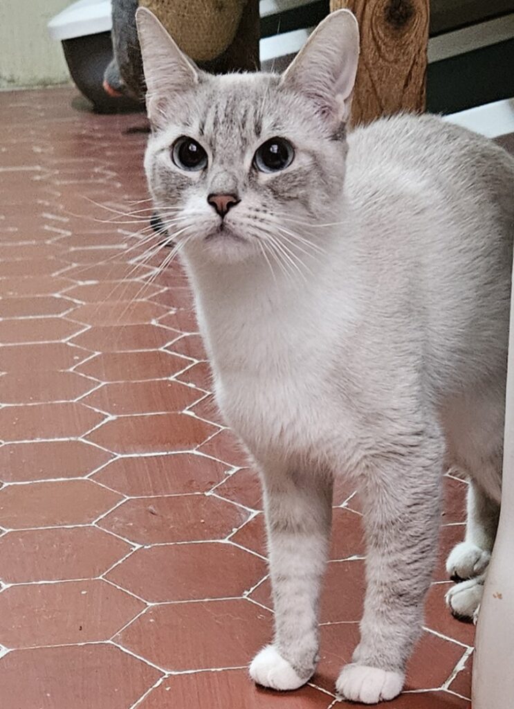 Bianca ♀