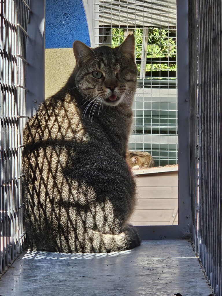 Arthus ♂ Arthus ♂