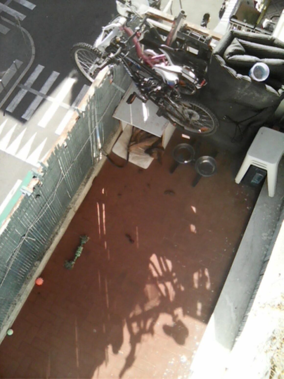 Sauvetage du jour Sauvetage du jour