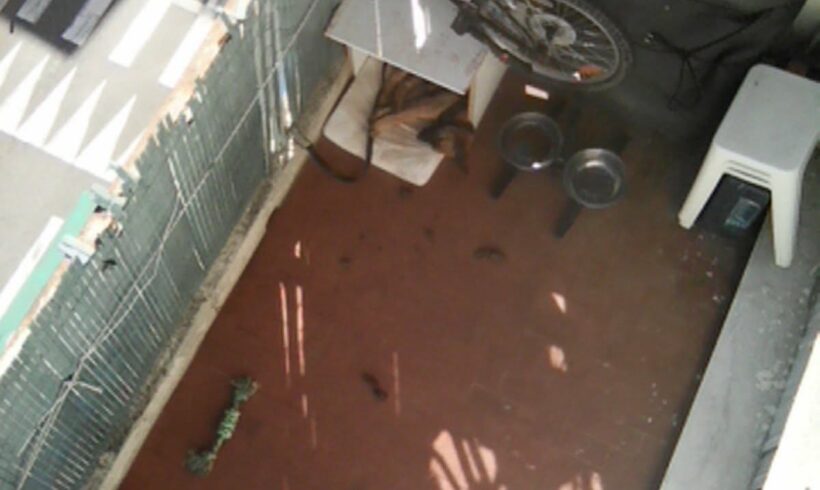 Sauvetage du jour Sauvetage du jour