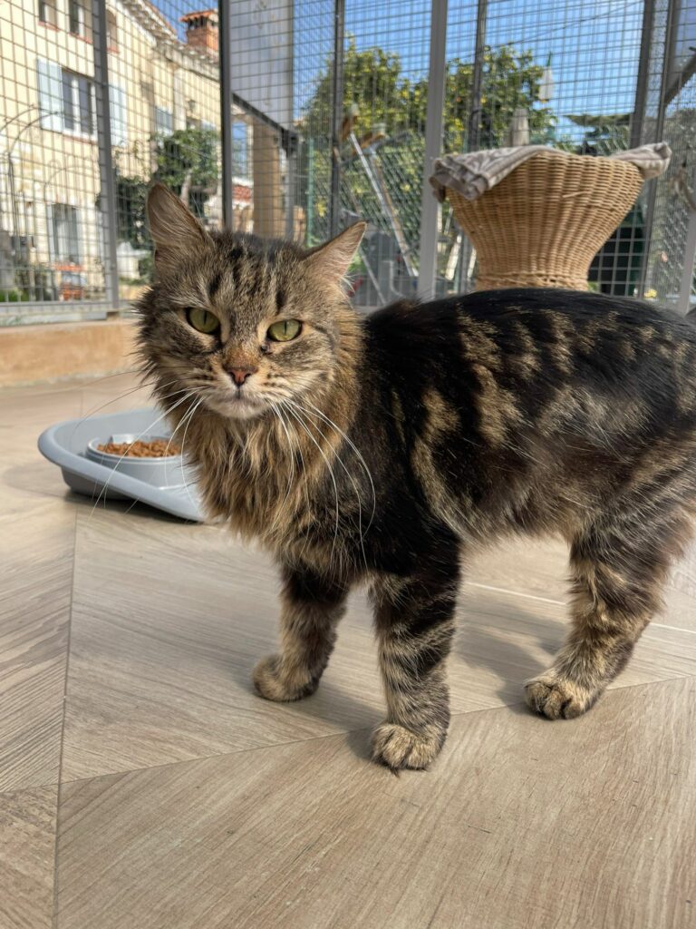 Damara ♀ Damara ♀