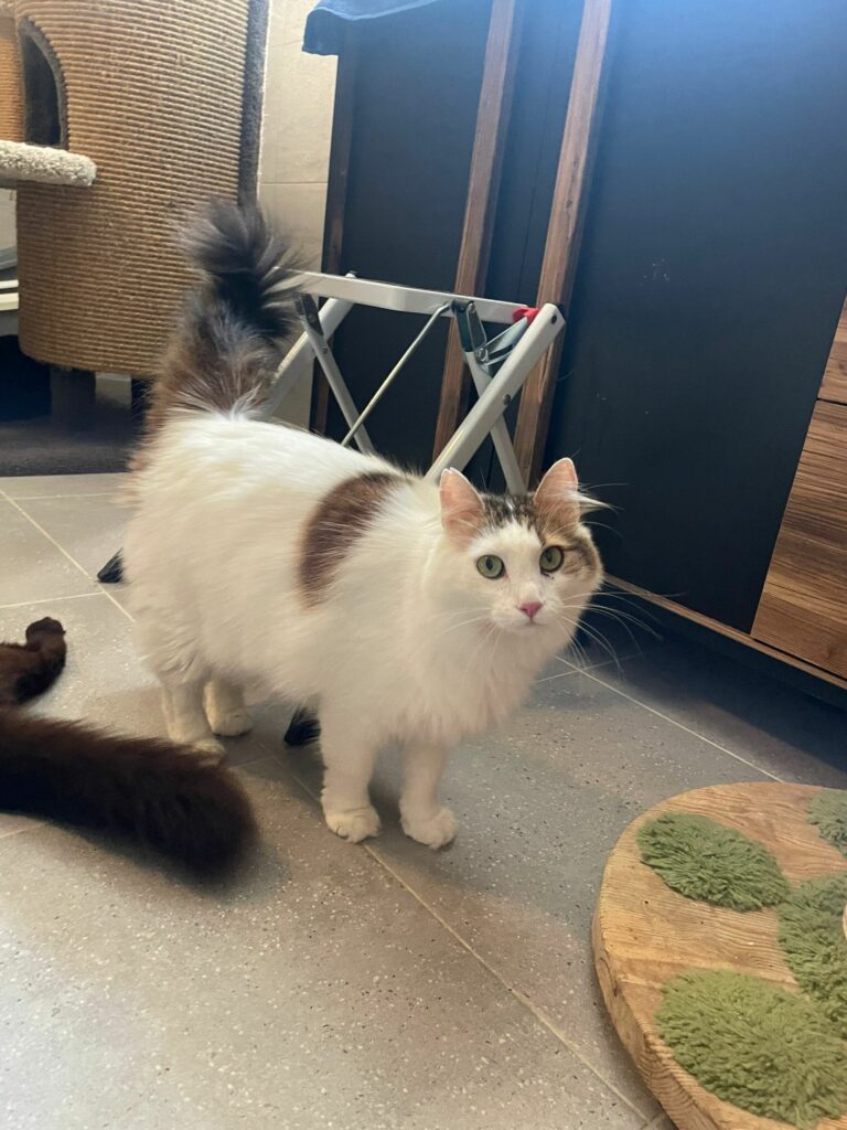 Shanna ♀ Shanna ♀