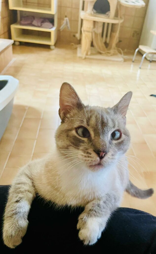 Barbie ♀ Barbie ♀