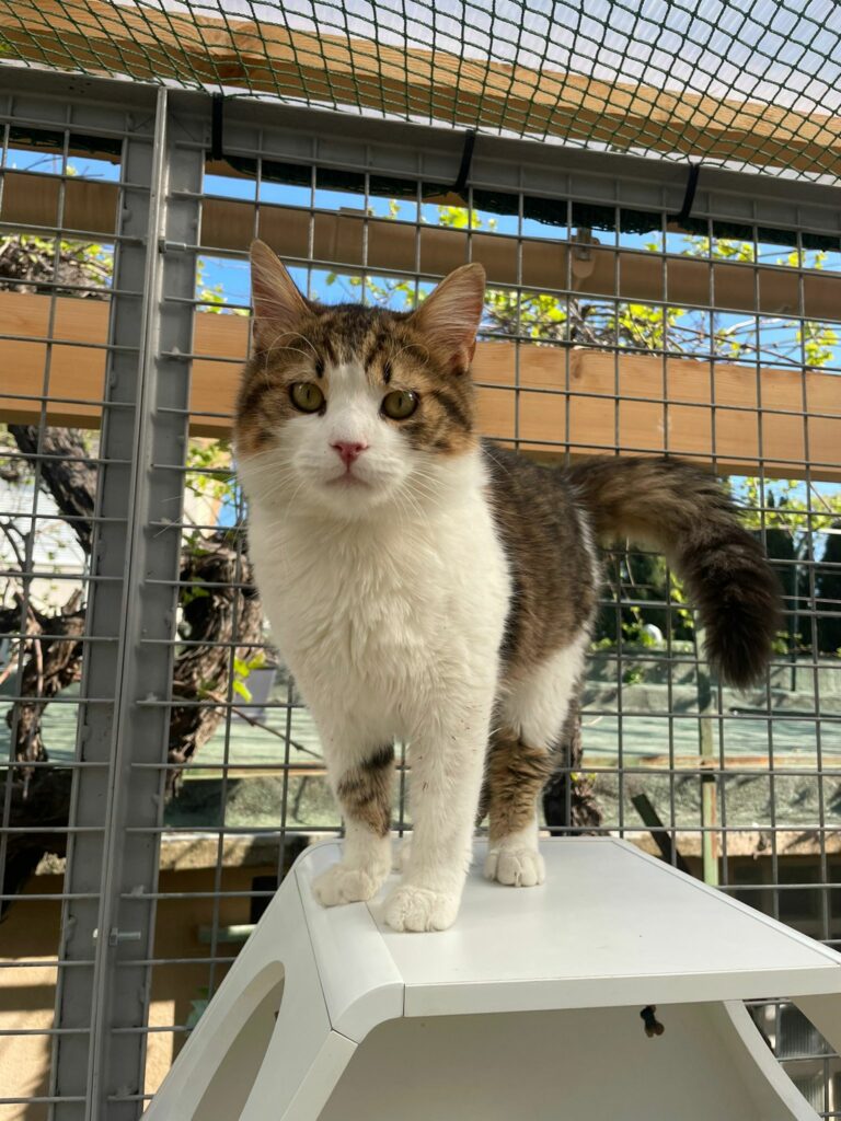 Yuni ♂ Yuni ♂