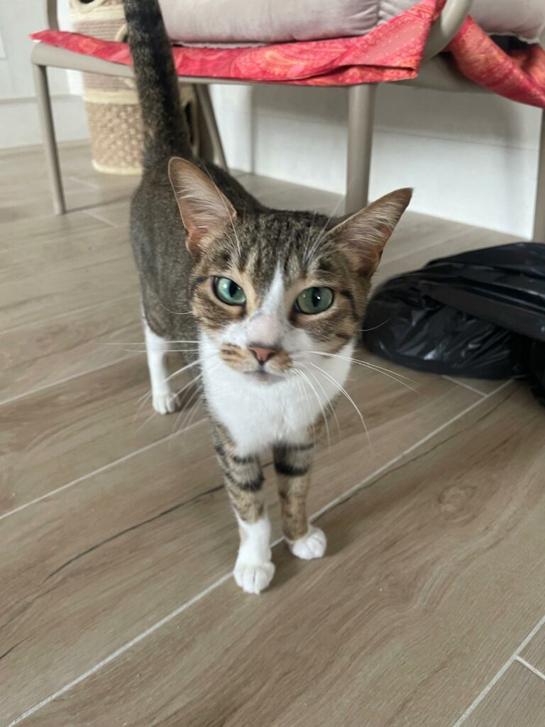 Sally ♀