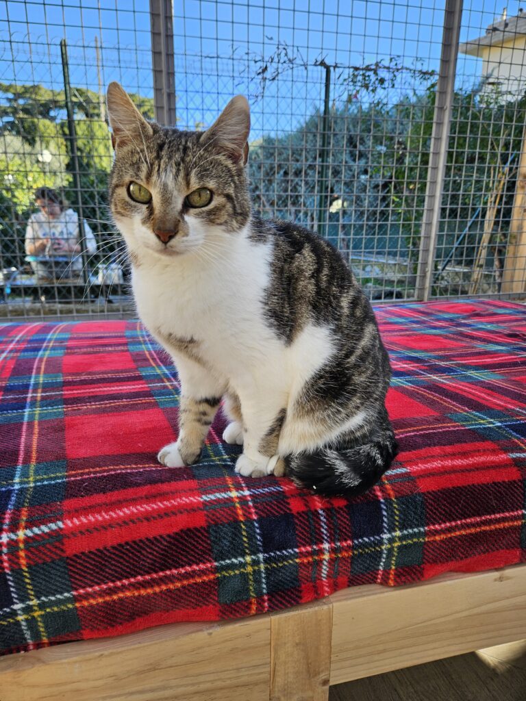 Ulysse ♂ Ulysse ♂