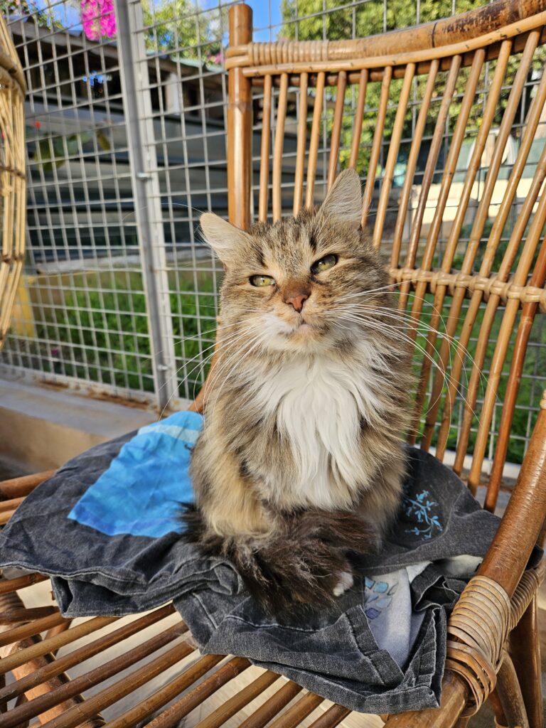 Marcia ♀ Marcia ♀