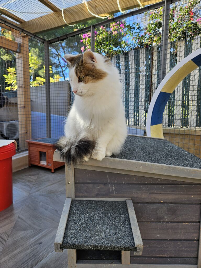 Shanna ♀ Shanna ♀