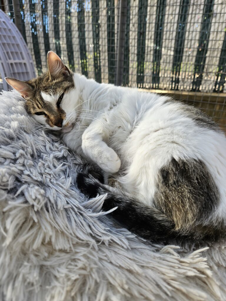 Angela ♀ Angela ♀