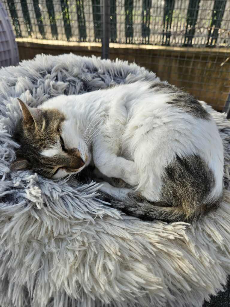 Angela ♀ Angela ♀