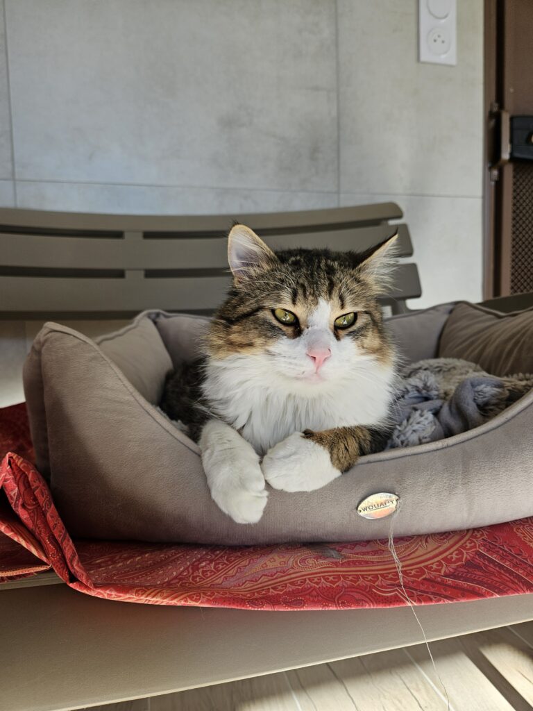 Tchoupi ♂ Tchoupi ♂